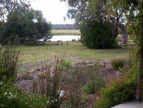 Wind Song Bed & Breakfast Little Swanport Exterior foto